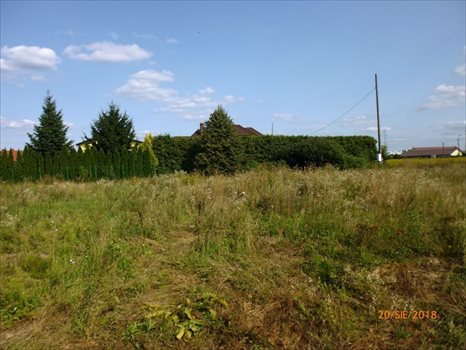 Działka budowlana na sprzedaż Kolonia Lesznowola, Gwarna 1 300m2 Foto 1