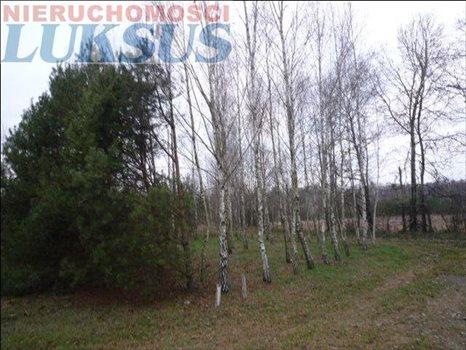 Działka budowlana pod dzierżawę Biały Ług, Biały Ług 12 300m2 Foto 5