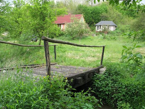 Działka siedliskowa na sprzedaż Witoszyn 2 000m2 Foto 5