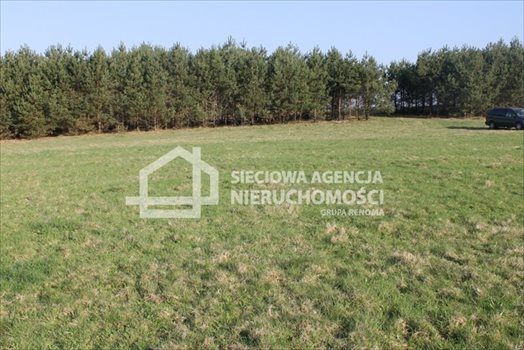 Działka budowlana na sprzedaż Lubowidz 1 760m2 Foto 9