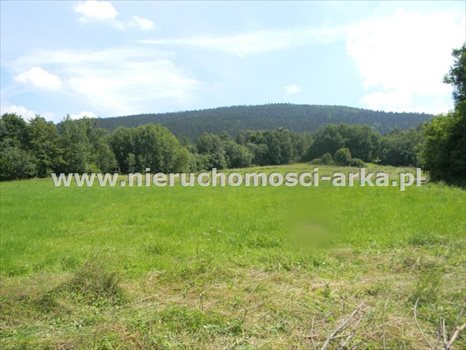 Działka budowlana na sprzedaż Dobra 2 500m2 Foto 3