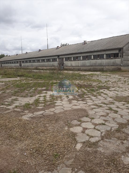 Lokal użytkowy na sprzedaż Piasecznik 61 443m2 Foto 2