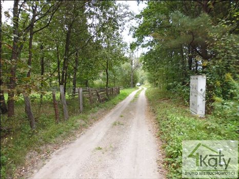 Działka budowlana na sprzedaż Mątki, Mątki, Mątki 4 300m2 Foto 9