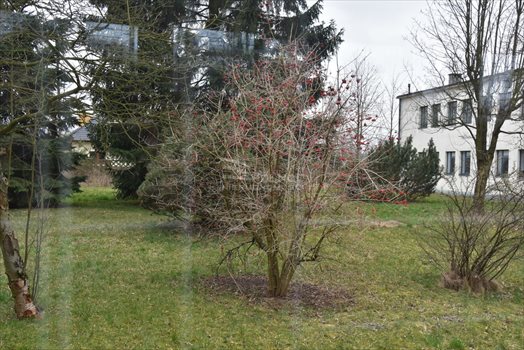 Dom na sprzedaż Ksawerów 1 200m2 Foto 6