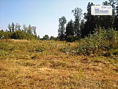 Działka budowlana na sprzedaż Niewodnica Kościelna 1 294m2 Foto 1