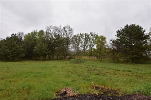 Działka budowlana na sprzedaż Świdnica 3 100m2 Foto 3