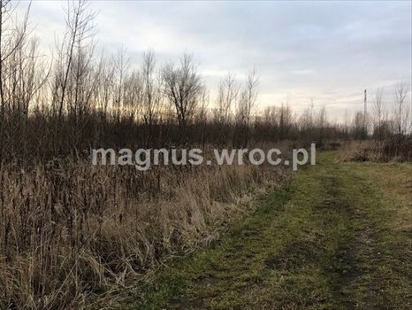 Działka budowlana na sprzedaż Siechnice 2 772m2 Foto 4