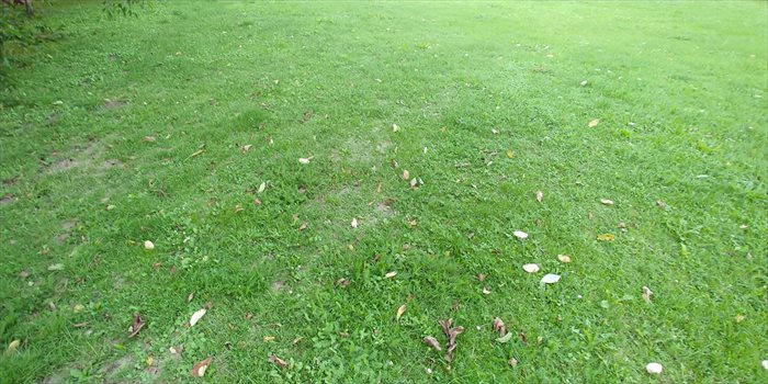 Działka budowlana na sprzedaż Batowice 1 500m2 Foto 1