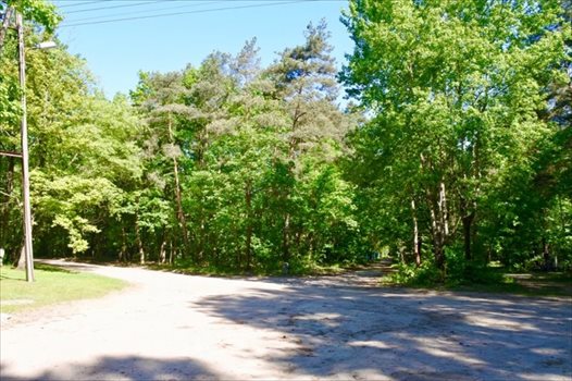 Działka budowlana na sprzedaż Sokolniki-Las, Jagiellońska 982m2 Foto 6