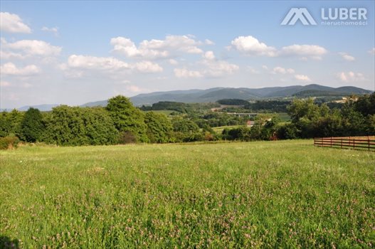 Działka budowlana na sprzedaż Bielowicko 3 223m2 Foto 10