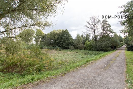 Działka rolna na sprzedaż Płouszowice-Kolonia 2 900m2 Foto 2