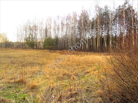 Działka rolna na sprzedaż Dębe Wielkie 1 200m2 Foto 5