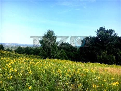 Działka rolna na sprzedaż Parchatka 10 003m2 Foto 1