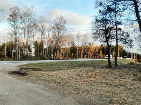 Działka inwestycyjna pod dzierżawę Czerwony Bór 10 000m2 Foto 2