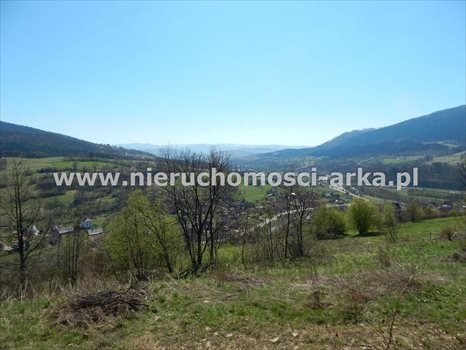 Działka budowlana na sprzedaż Mszana Dolna 4 400m2 Foto 3