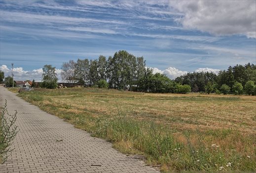 Działka budowlana na sprzedaż Brzózki 2 815m2 Foto 12