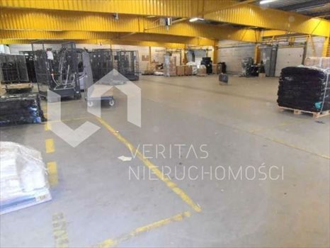 Lokal użytkowy na sprzedaż Katowice, Dolina Trzech Stawów 3 006m2 Foto 2