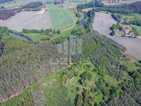 Działka inna na sprzedaż Klonówka, Las, Rzeka 101 600m2 Foto 5
