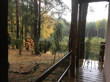 Działka rekreacyjna na sprzedaż Wólka Mlęcka 4 500m2 Foto 9