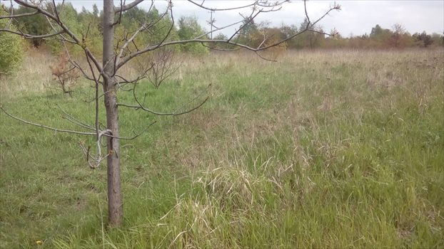 Działka rolna na sprzedaż Łódź, Widzew, Opolska 14 997m2 Foto 7