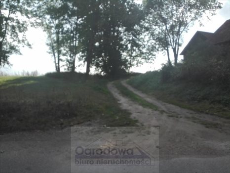 Działka budowlana na sprzedaż Żywy 1 226m2 Foto 3