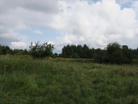 Działka inna na sprzedaż Kobylnica, Łąkowa 1 082m2 Foto 5
