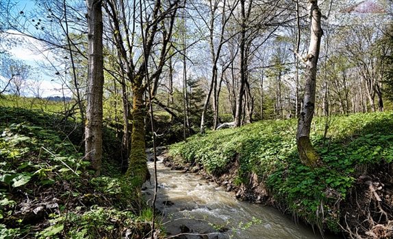 Działka inna na sprzedaż Przysłup 2 079m2 Foto 8