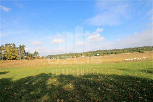 Działka siedliskowa na sprzedaż Grabówko, Jezioro, Las, Grabówko 3 100m2 Foto 5