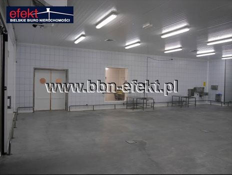Lokal użytkowy na sprzedaż Rybarzowice 1 880m2 Foto 3