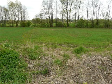 Działka inna na sprzedaż Majdan Krasieniński, Niemce 2 184m2 Foto 6