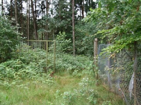 Działka inna na sprzedaż Kamień, Jastrzębia 7 680m2 Foto 4