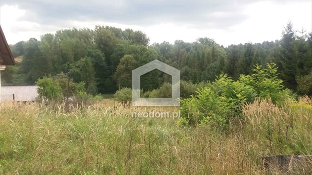 Działka budowlana na sprzedaż Gaj 5 400m2 Foto 5