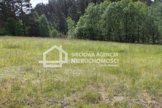 Działka budowlana na sprzedaż Lubowidz 1 003m2 Foto 3