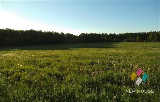 Działka budowlana na sprzedaż Nikielkowo, Dębowa 1 260m2 Foto 4