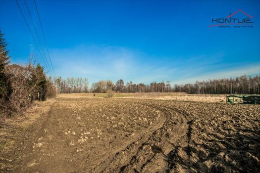 Działka rekreacyjna na sprzedaż Bąków 1 500m2 Foto 2