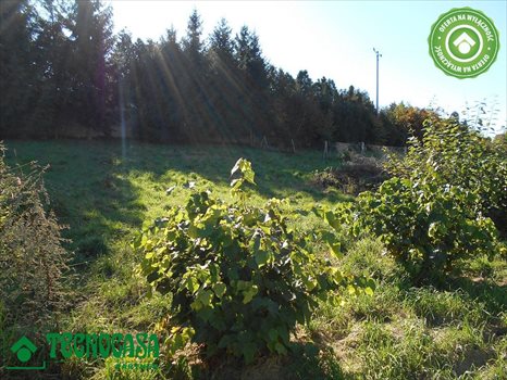 Działka budowlana na sprzedaż Wieliczka 877m2 Foto 8