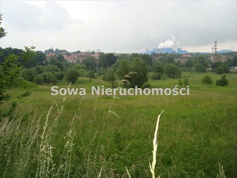 Działka inwestycyjna na sprzedaż Wałbrzych, Szczawienko 4 919m2 Foto 4