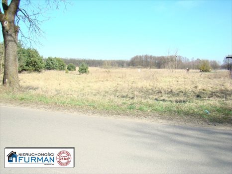 Działka inna na sprzedaż Laskowo 1 070m2 Foto 4