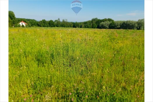 Działka budowlana na sprzedaż Grodziec 1 220m2 Foto 2