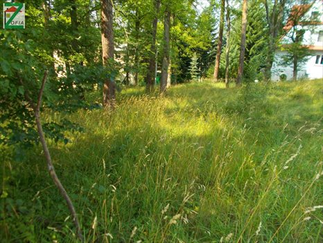 Działka przemysłowo-handlowa na sprzedaż RABKA-ZDRÓJ 1 600m2 Foto 4