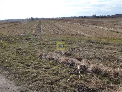 Działka rolna na sprzedaż Konstancin Jeziorna, Bielawa 3 900m2 Foto 3