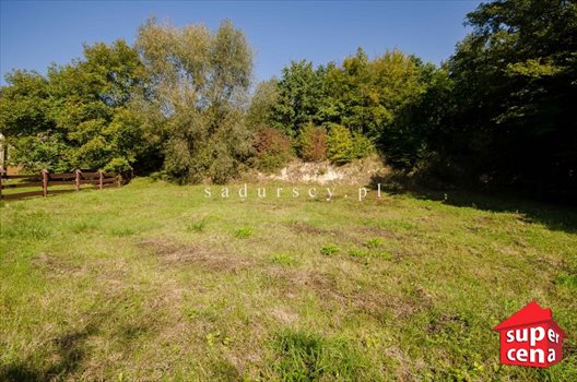 Działka budowlana na sprzedaż Kozierów, Lipowa 1 200m2 Foto 3