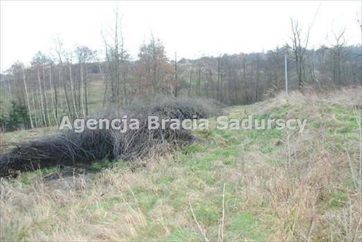 Działka budowlana na sprzedaż Trąbki 2 300m2 Foto 2