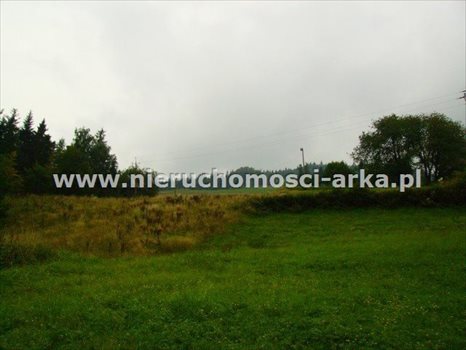 Działka budowlana na sprzedaż Kasinka Mała 2 300m2 Foto 4