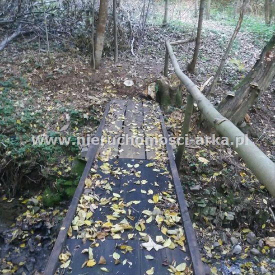 Działka leśna na sprzedaż Limanowa 3 400m2 Foto 3