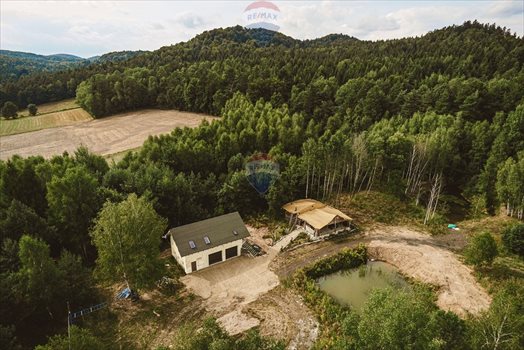 Działka siedliskowa na sprzedaż Strzegowa 14 599m2 Foto 3