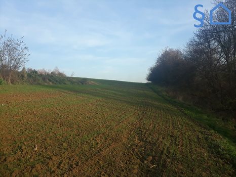 Działka budowlana na sprzedaż Sułkowice 900m2 Foto 5