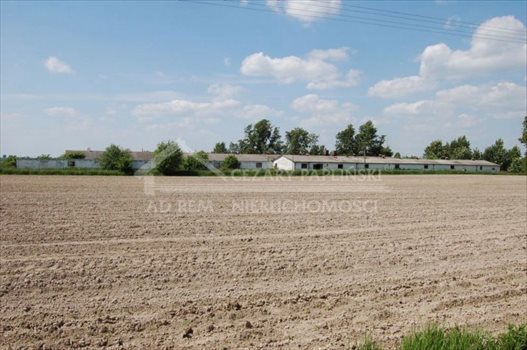 Lokal użytkowy na wynajem Nowogród, Nowogród 830m2 Foto 6