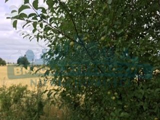 Działka budowlana na sprzedaż Brajniki 1 561m2 Foto 5