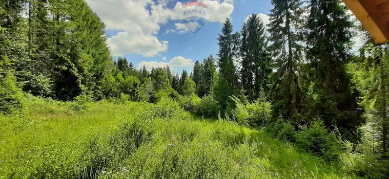 Działka budowlana na sprzedaż Nowy Targ 1 000m2 Foto 2